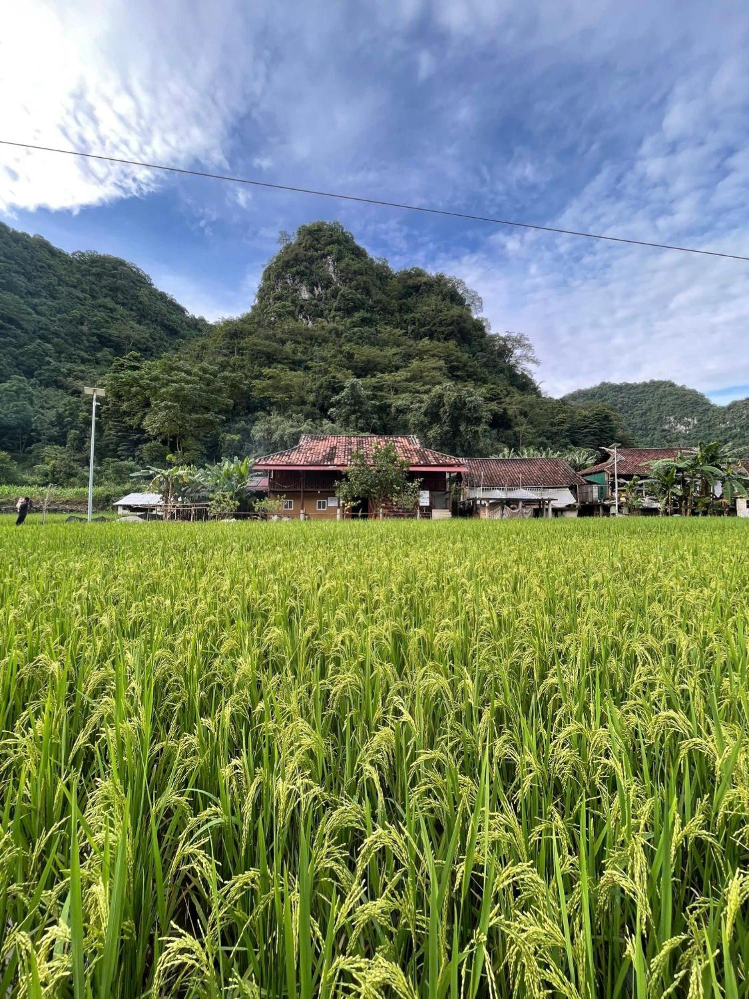Nung An Homestay Quang Uyen Esterno foto
