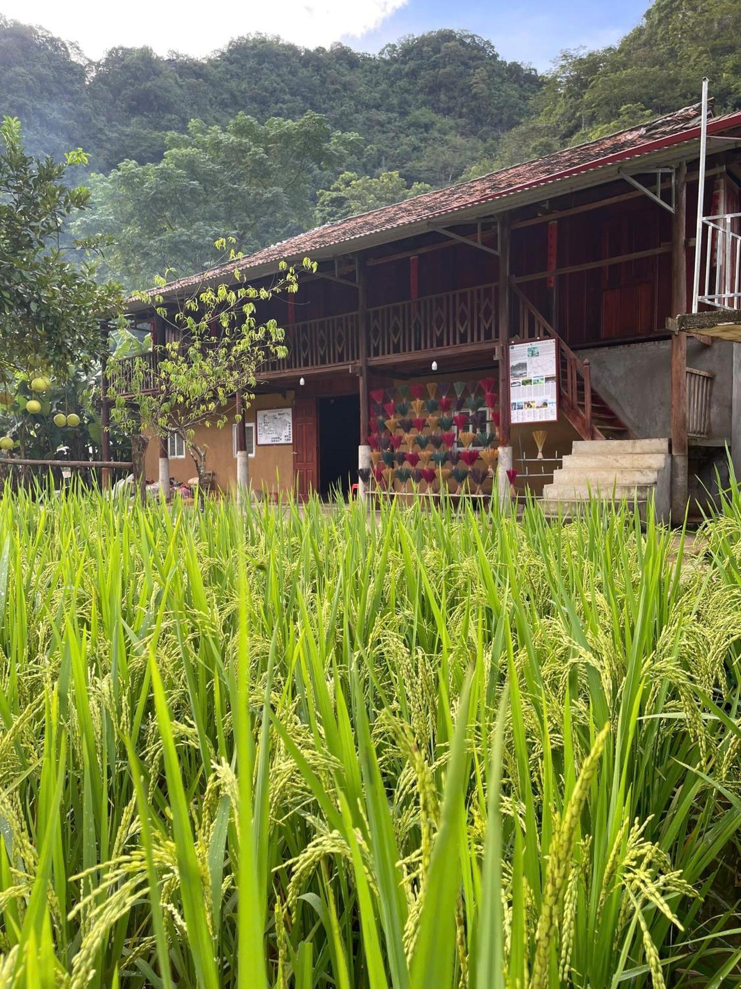 Nung An Homestay Quang Uyen Esterno foto