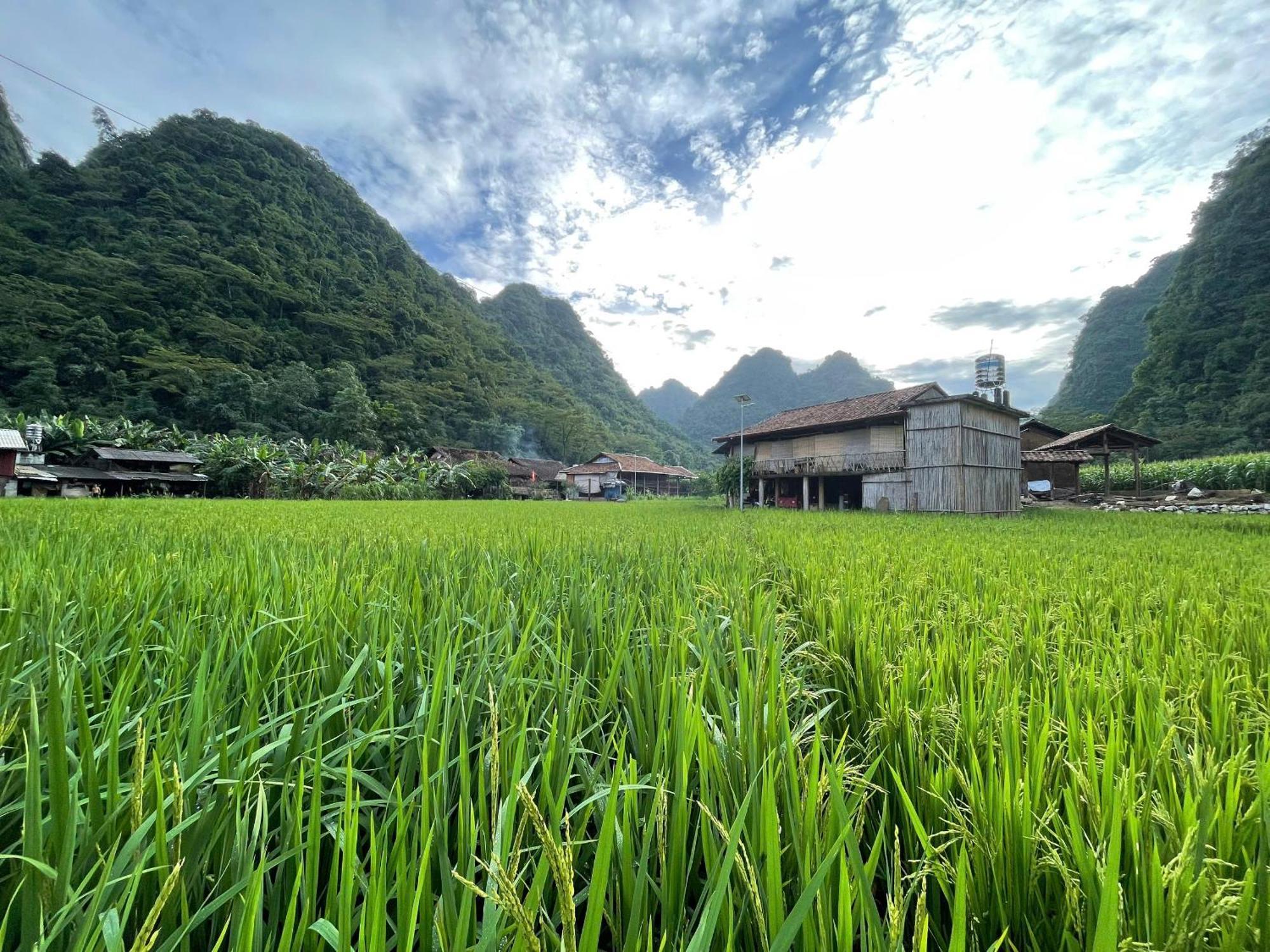 Nung An Homestay Quang Uyen Esterno foto