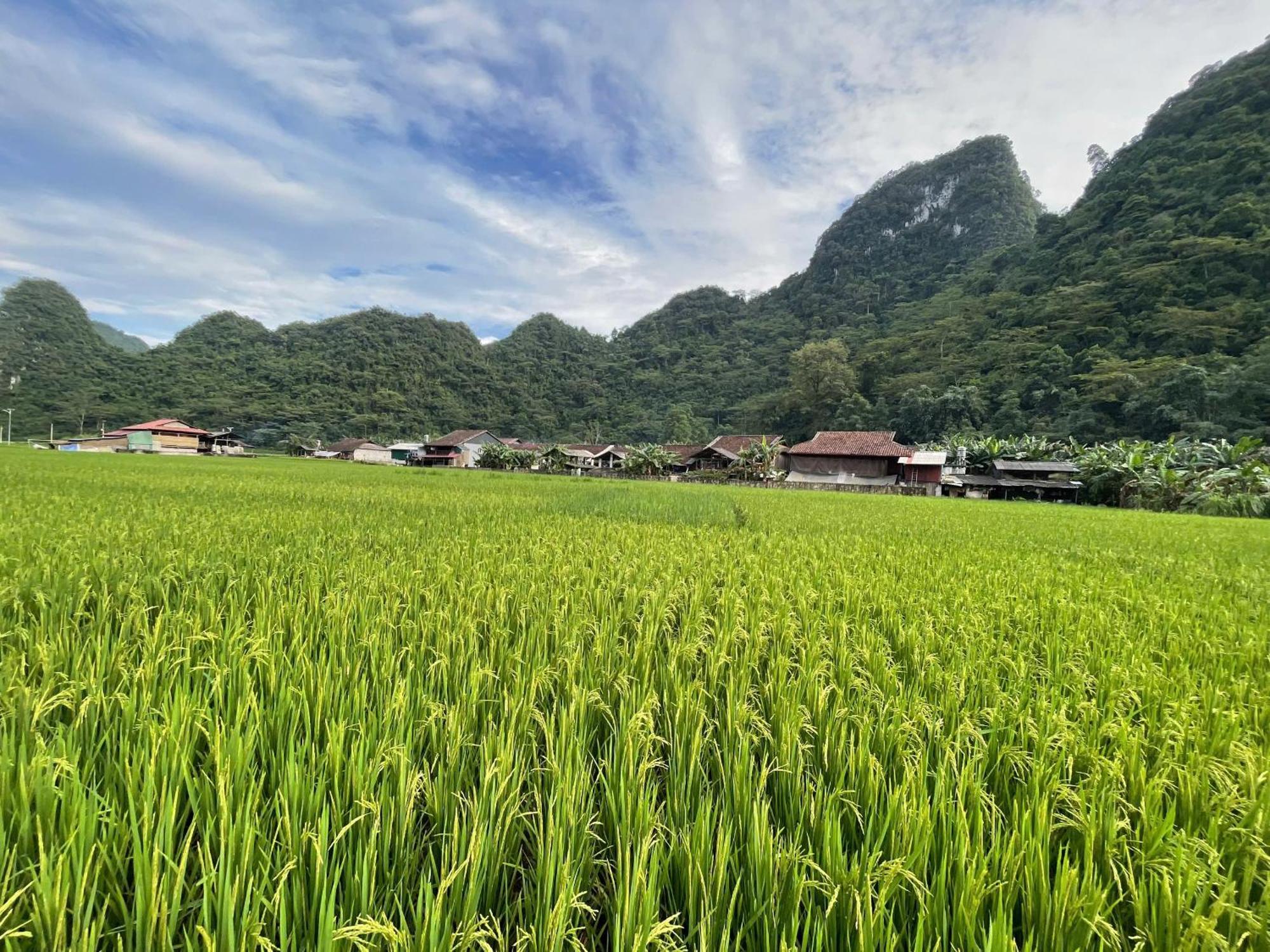 Nung An Homestay Quang Uyen Esterno foto